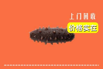 收购资讯:银川市西夏回收海参